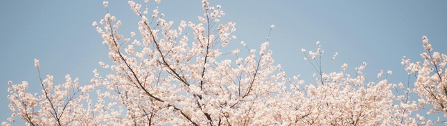 Spring Reset: Letting Go of Old Sleepwear and Choosing Timeless Comfort